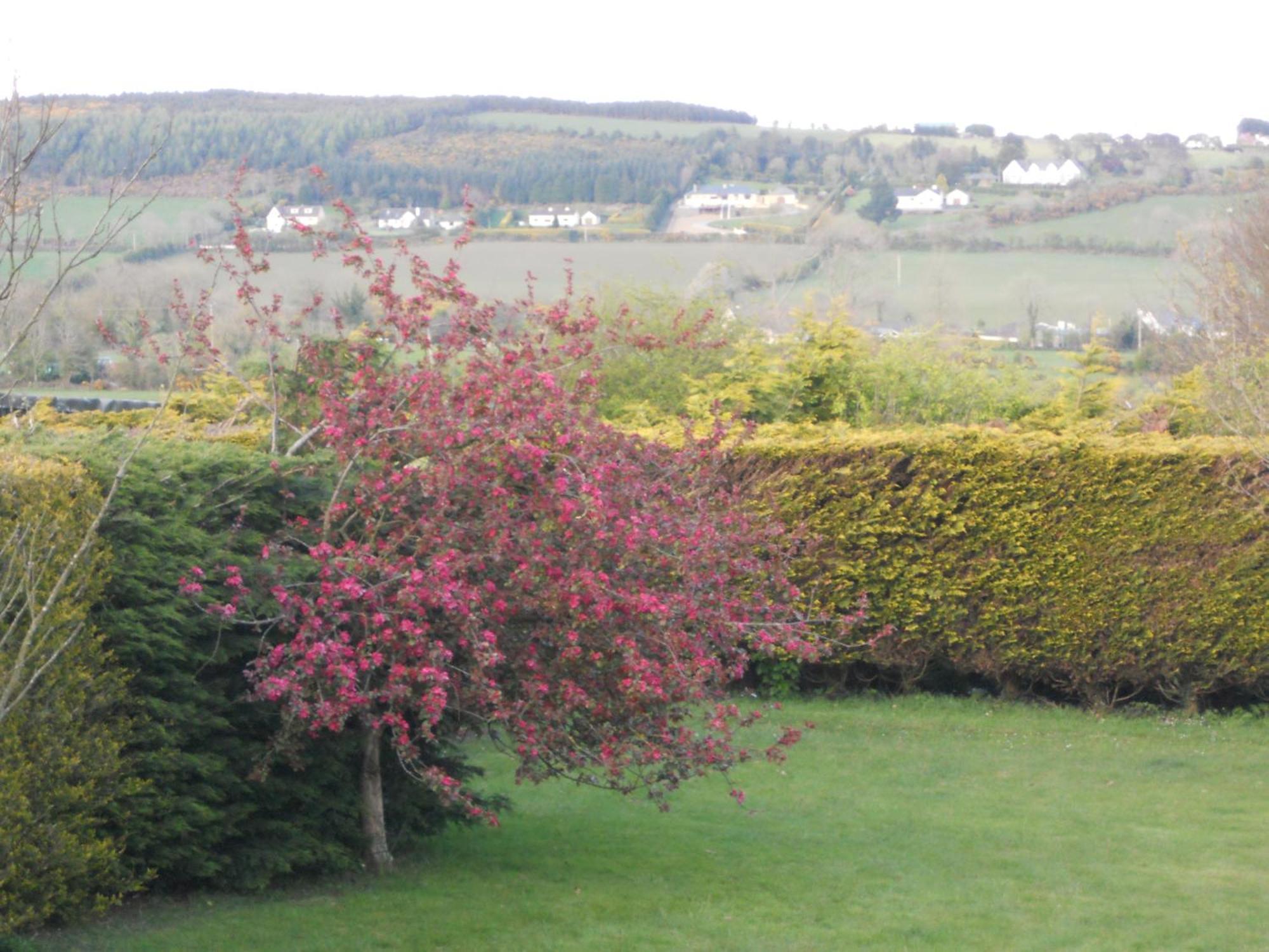 Rhu Glenn Hotel Waterford Esterno foto